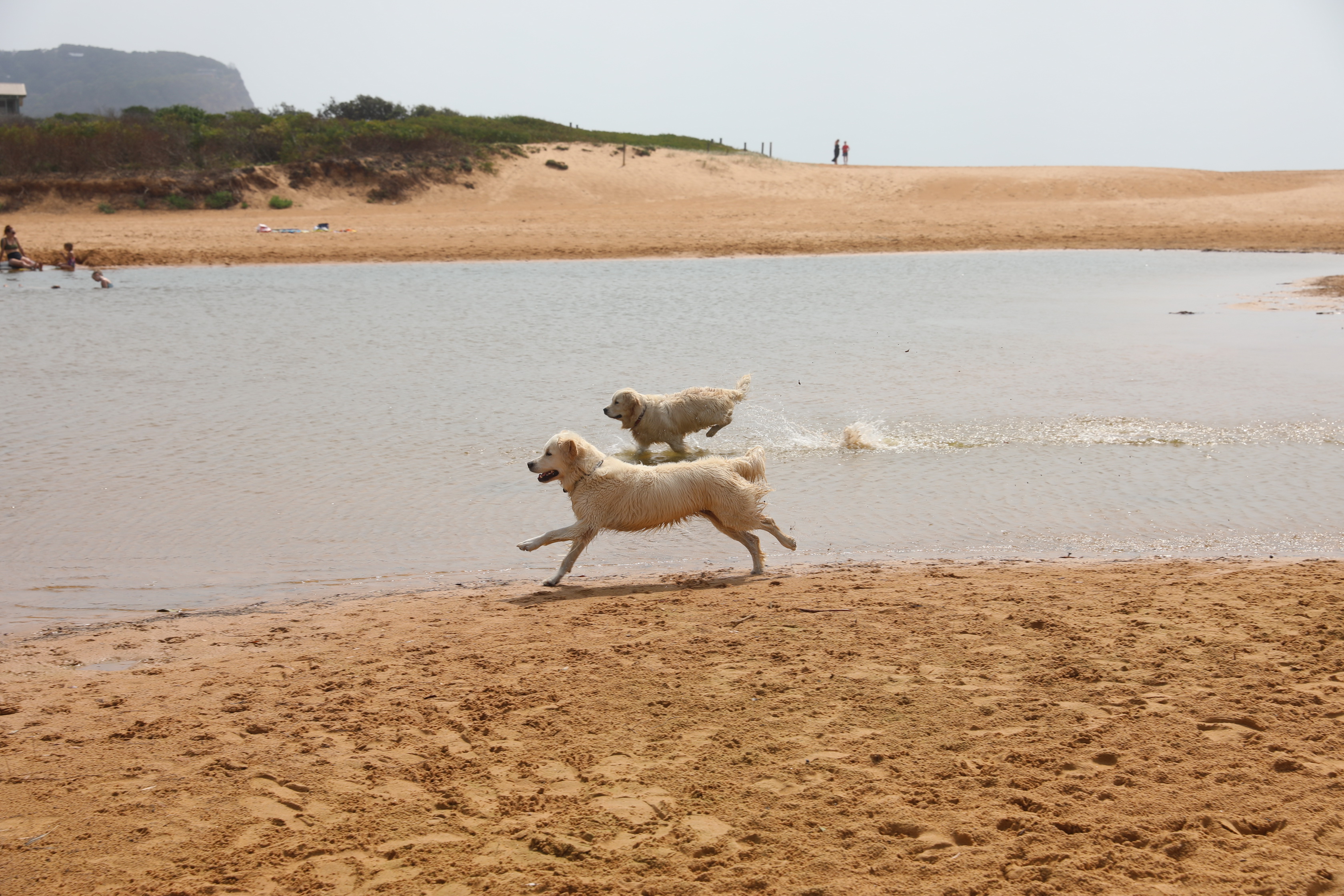 Mündung des Avoca Lakes